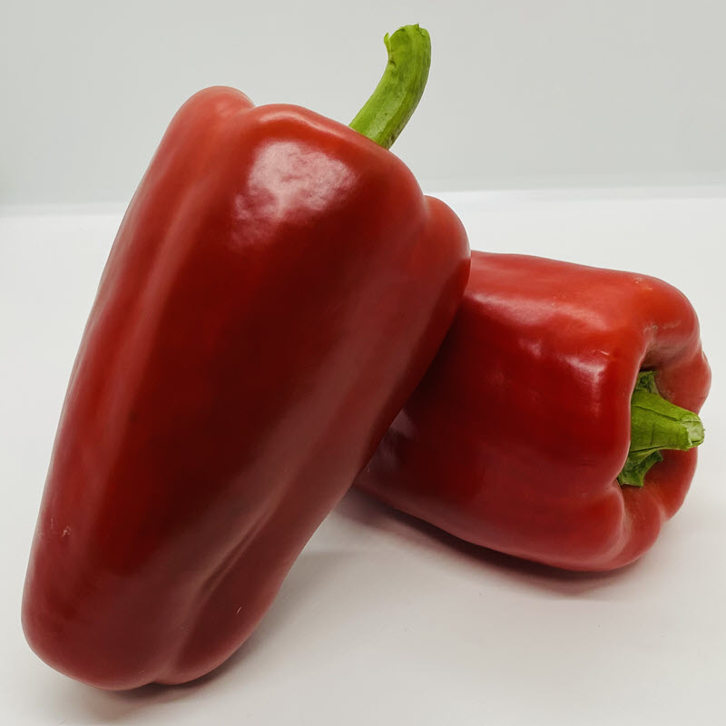 RED IMPACT Pepper SEMINIS